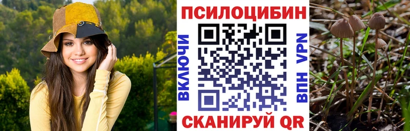 Псилоцибиновые грибы Cubensis  где купить наркоту  Волжск 